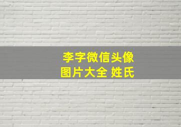 李字微信头像图片大全 姓氏